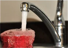 Tap Water should not contain high levels of THMs